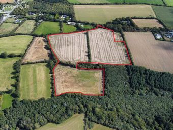 C. 21.36 Acres Holding At Tullycanna, Ballymitty, Co. Wexford