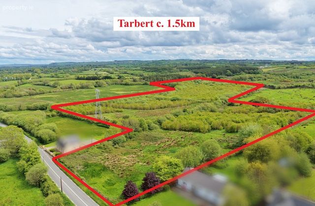 16.48 Acre Forestry Plantation Carhoona, Tarbert, Co. Kerry - Click to view photos