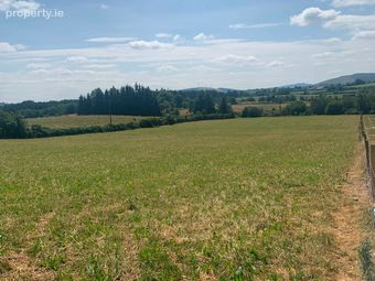 Ballinagilky, Hacketstown, Co. Carlow - Image 4