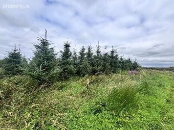 Cloonmore, Doonbeg, Co. Clare, Doonbeg, Co. Clare - Image 4