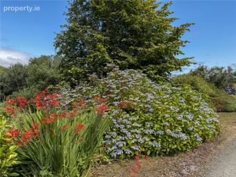 Ardbear, Clifden, Co. Galway, Clifden, Co. Galway - Image 5