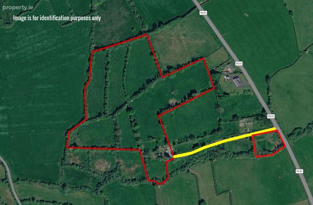 Ballyduggan, Mullinahone, Co. Tipperary - Click to view photos