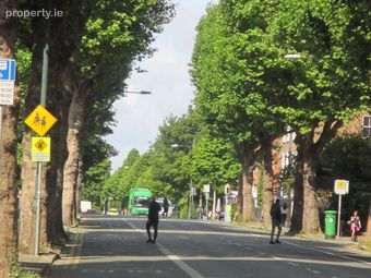 48 Harrington Street, Dublin 8, Portobello, Dublin 8 - Image 4