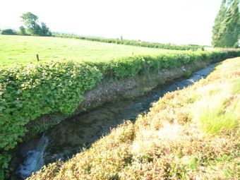 Timeighter, Roscrea, Co. Tipperary, Roscrea, Co. Tipperary - Image 4