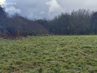 Derryfrench, Loughrea, Tynagh, Co. Galway