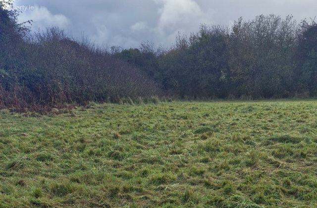 Derryfrench, Loughrea, Tynagh, Co. Galway - Click to view photos