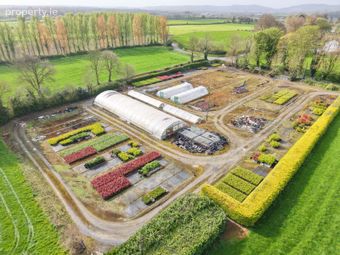 Fiddown Nurseries, Corloughan, Piltown, Co. Kilkenny - Image 5