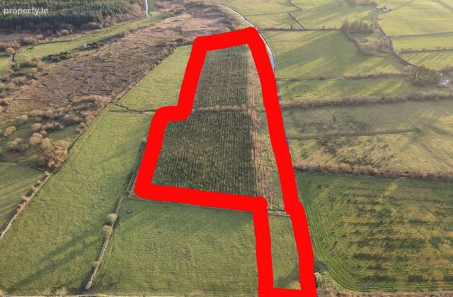 Cloghermore, Claremorris, Co. Mayo - Click to view photos