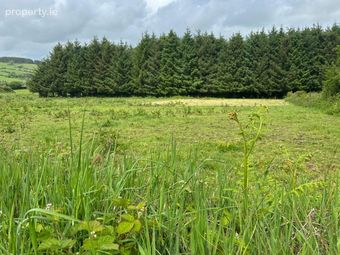 Carriganassa, Killeagh, Co. Cork - Image 4