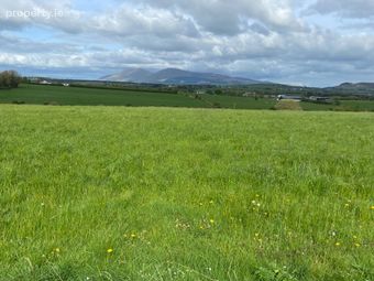 Mountain View, Tully, Glenroe, Glenroe, Co. Limerick - Image 4