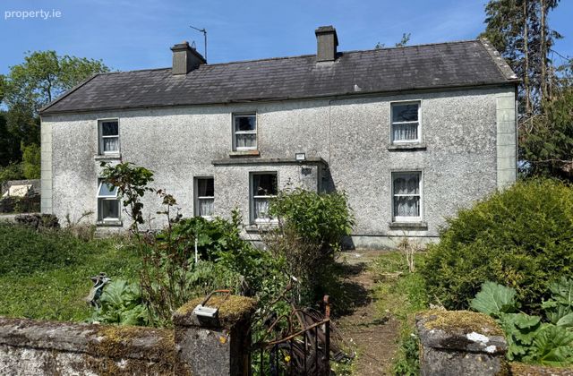 Ballyfa, New Inn, Ballinasloe, Co. Galway - Click to view photos