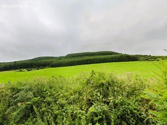 Lands Coolfree, Ardpatrick, Kilmallock, Co. Limerick - Image 4