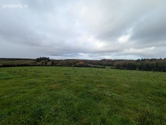 C.38 Acres At Derrybrick, Knockalough, Co. Clare - Image 5