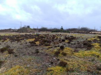 Shammer, Kilkelly, Co. Mayo - Image 2