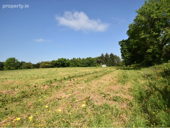Derrycarne, Dromod, Co. Leitrim - Image 3
