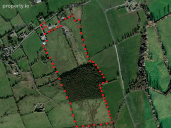 C.29 Acres Land Forestry, Ballynamrossah, Tipperary Town, Co. Tipperary