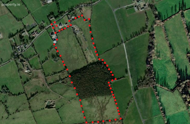 C.29 Acres Land Forestry, Ballynamrossah, Tipperary Town, Co. Tipperary - Click to view photos