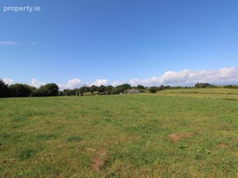45.96 Acres, Shesharoe, Portroe, Co. Tipperary, Nenagh, Co. Tipperary - Image 4