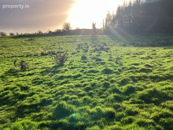 Curraghaun, Dunmore, Co. Galway, Dunmore, Co. Galway - Image 5