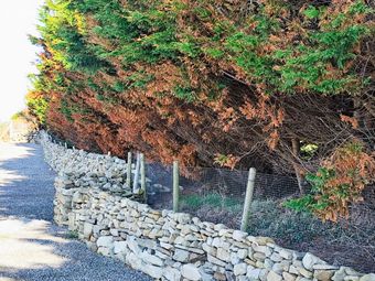 Donogrogue, Killimer, Kilrush, Co. Clare