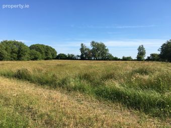 Garraun, Two-mile-borris, Thurles, Co. Tipperary - Image 5