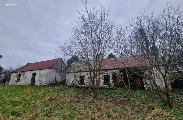 Drumalooaun, Swinford, Co. Mayo - Click to view photos