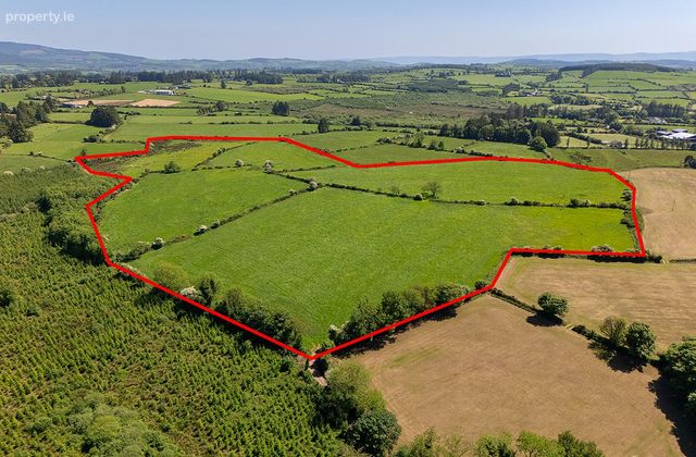 Circa 40 Acres, Touraneena, Ballinamult, Co. Waterford - Click to view photos