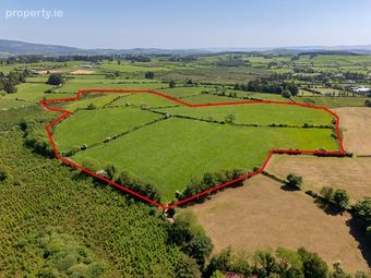 Circa 40 Acres, Touraneena, Ballinamult, Co. Waterford