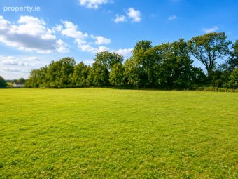 C. 15.36 Acres, Newtown, Shanacloon Lane, Kildare, Co. Kildare - Image 4
