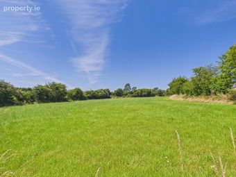 Dournane, Mooncoin, Co. Kilkenny, Mooncoin, Co. Kilkenny - Image 2