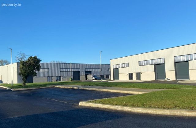Unit 38, Monread Industrial Park, Monread Road, Naas, Co. Kildare - Click to view photos