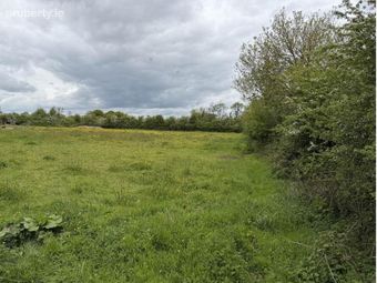 Site At, Kyleannagh, Clonakenny, Co. Tipperary, Roscrea, Co. Tipperary - Image 4