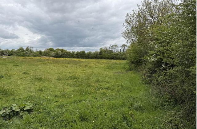 Site At, Kyleannagh, Clonakenny, Co. Tipperary, Roscrea, Co. Tipperary - Click to view photos