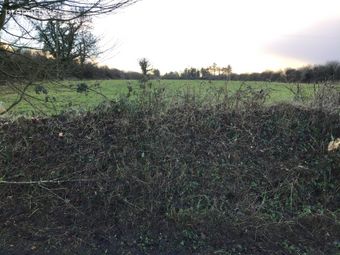 Carrowreagh, Milltown, Co. Galway - Image 5