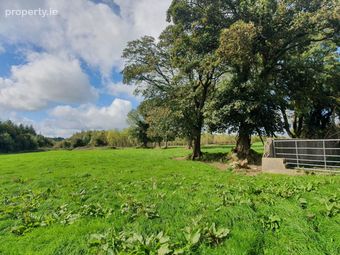 Barnagarrane, Dromcolliher, Co. Limerick, Dromcolliher, Co. Limerick - Image 3
