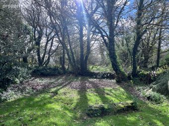 The Poets House, Cloncorban, Rossmore, Clonakilty, Co. Cork, Bealad Cross Roads, Co. Cork - Image 3