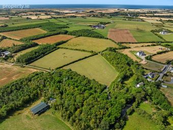 C. 8.78 Hectares (21.70 Acres) At Nicharee, Duncormick, Co. Wexford - Image 2