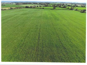 C. 38 Acres Meadow, Ballintubber, Castlerea, Co. Roscommon, Castlerea, Co. Roscommon
