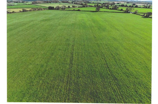 C. 38 Acres Meadow, Ballintubber, Castlerea, Co. Roscommon, Castlerea, Co. Roscommon - Click to view photos