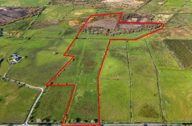 Nure, Cornafulla, Athlone, Co. Roscommon, Drumlosh, Co. Roscommon - Click to view photos