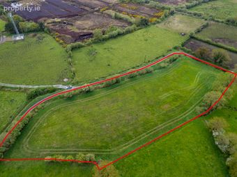 Derryneill, Ballydangan, Athlone, Co. Roscommon, Ballydangan, Co. Roscommon - Image 4