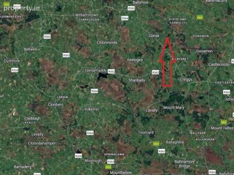 Approx, 4.77 Ha (11, 8 Acres), Ballincurry, Castlerea, Co. Roscommon, Crosswell, Co. Galway - Image 2