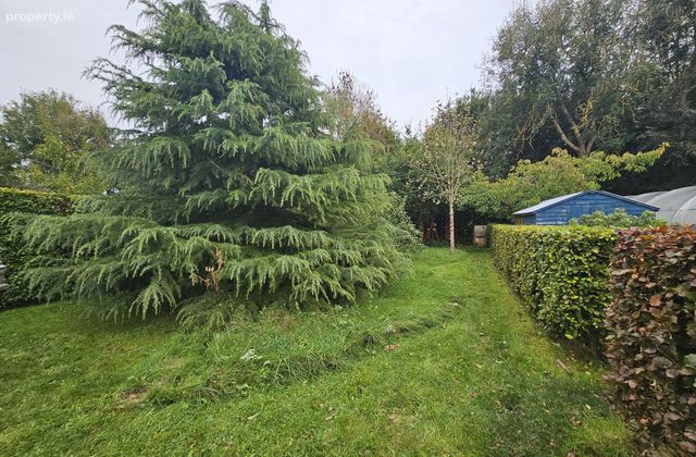 Srah, Knockcroghery, Co. Roscommon - Click to view photos
