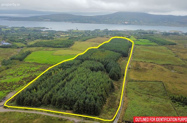Rodeen, Castletownbere, Co. Cork - Click to view photos