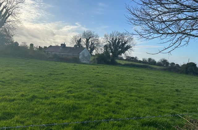 Mulderricksfield, Barrigone, Shanagolden, Co. Limerick - Click to view photos