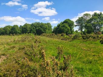 Rathmore, Carbury, Kildare, Carbury, Co. Kildare - Image 4