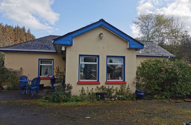 Triskell Flower Farm, Cloonagh, Dromard, Co. Sligo - Click to view photos