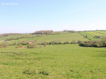 1, Johnstown, Puckane, Nenagh, Co. Tipperary, Rathcabbin, Co. Tipperary - Image 5