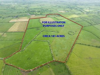Bohergeela, Meanus, Bruff, Co. Limerick, Bruff, Co. Limerick - Image 3