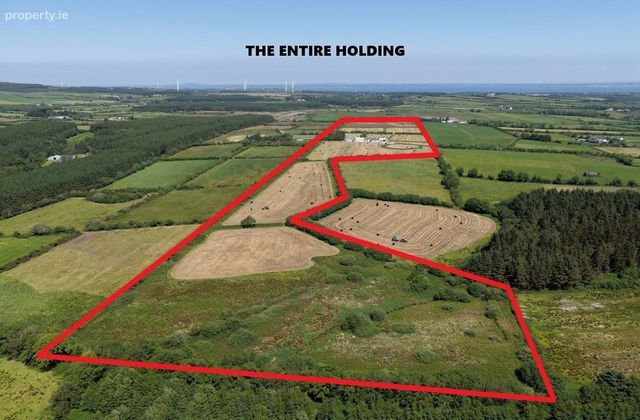46.3 Residential Holding At Kilgarvan, Ballylongford, Co. Kerry - Click to view photos